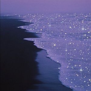 Meet your Posher, Juliza